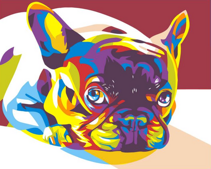 Cão Colorido Relaxante