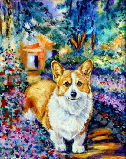 Cão Corgi