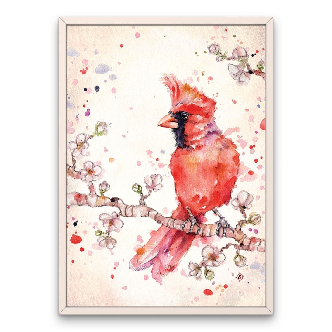 Red cardinal