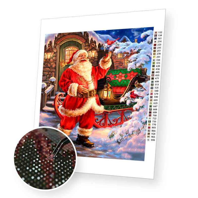 Funny Santa with bird premium diamond painting kit for adults