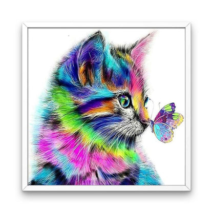 Gato colorido e borboleta