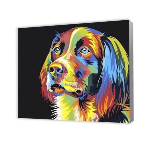 Cão Colorido