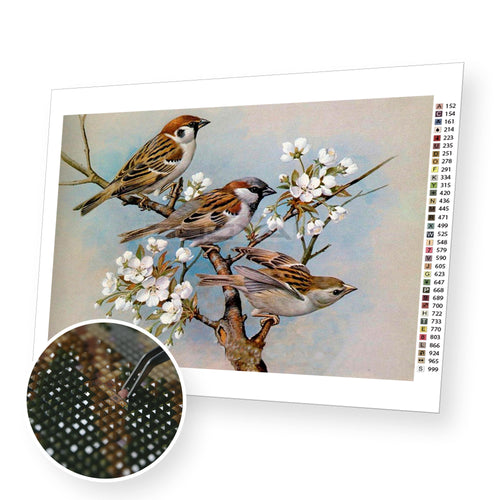 Cute Birds - Diamond Paintig Kit premium diamond painting kit for adults