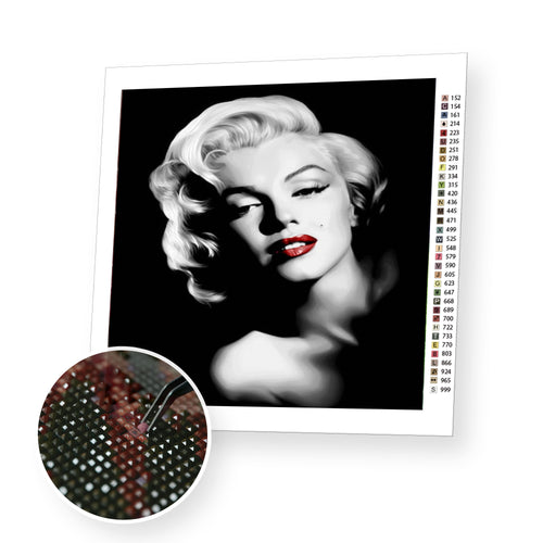 Monroe black and white premium diamond painting kit for adults