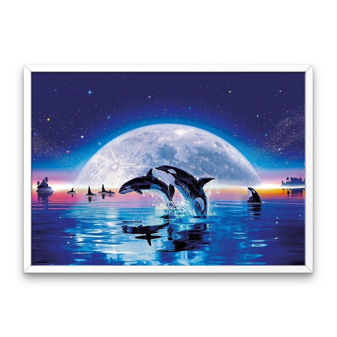 Céu noturno e golfinhos