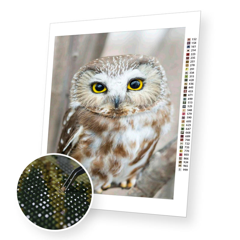 Owl Portrait premium diamond painting kit for adults