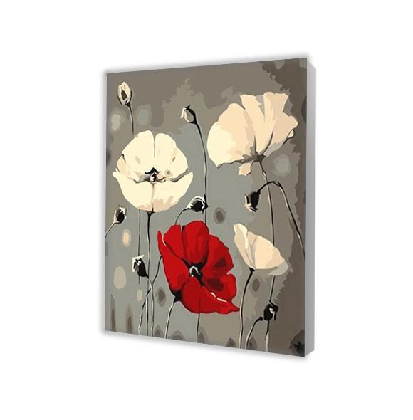 White and Red Poppies - Paint by Numbers